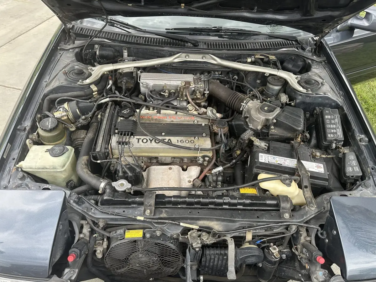 Engine bay checked cold, nothing wiped down.