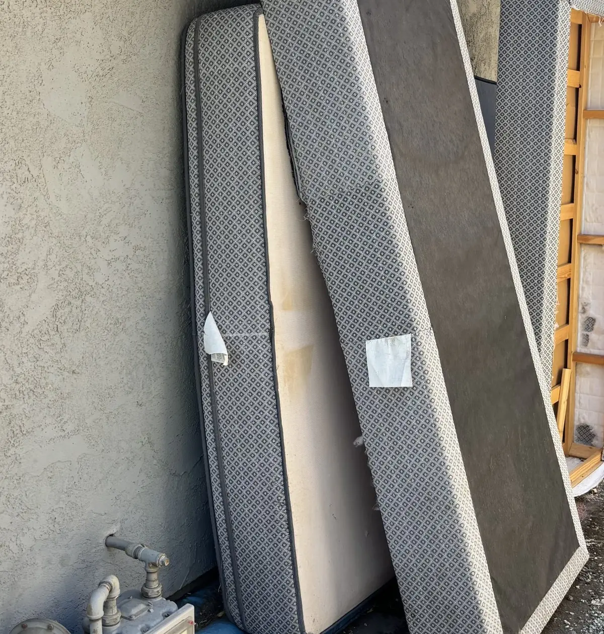 Old cabin filters next to a new one.