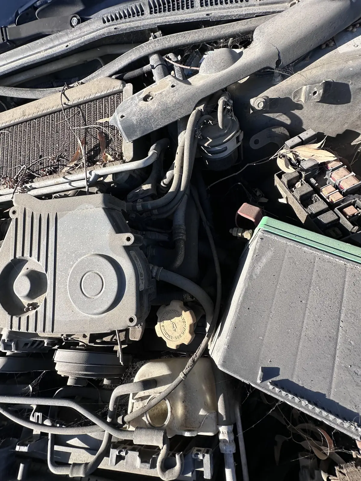 Radiator out, cam cover and belt drive exposed.