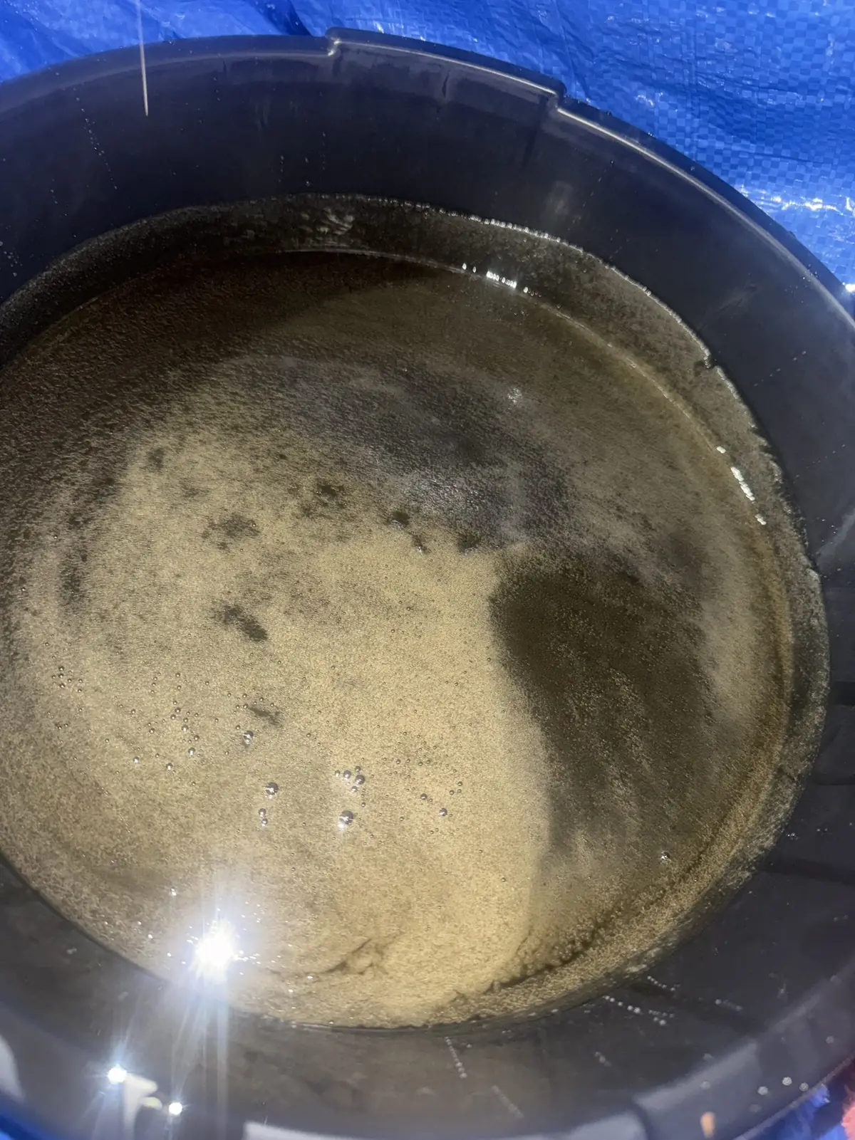 Milky oil in the drain pan. Coolant where it should not be.