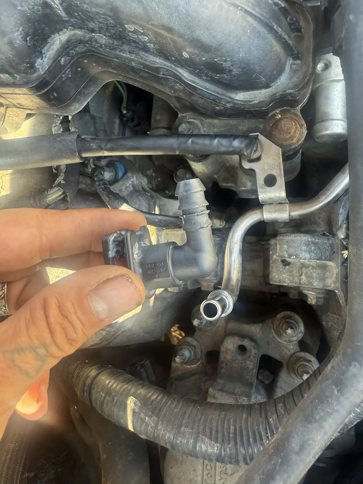 Pulling a brittle plastic elbow off the intake.