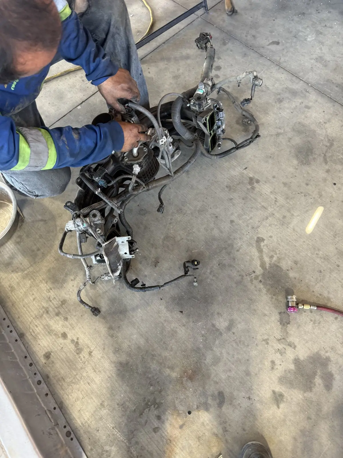 A full engine harness laid out on the floor to trace a fault.
